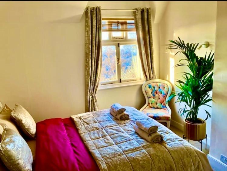 הוילה גרייט מלברן Number36, Hills Garden Access, Unique Retreat מראה חיצוני תמונה